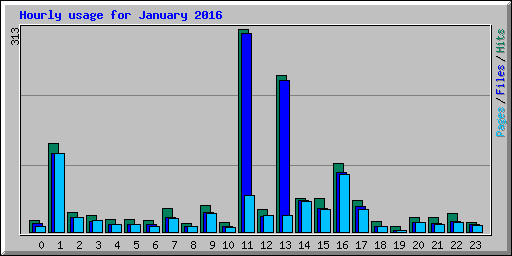 Hourly usage for January 2016